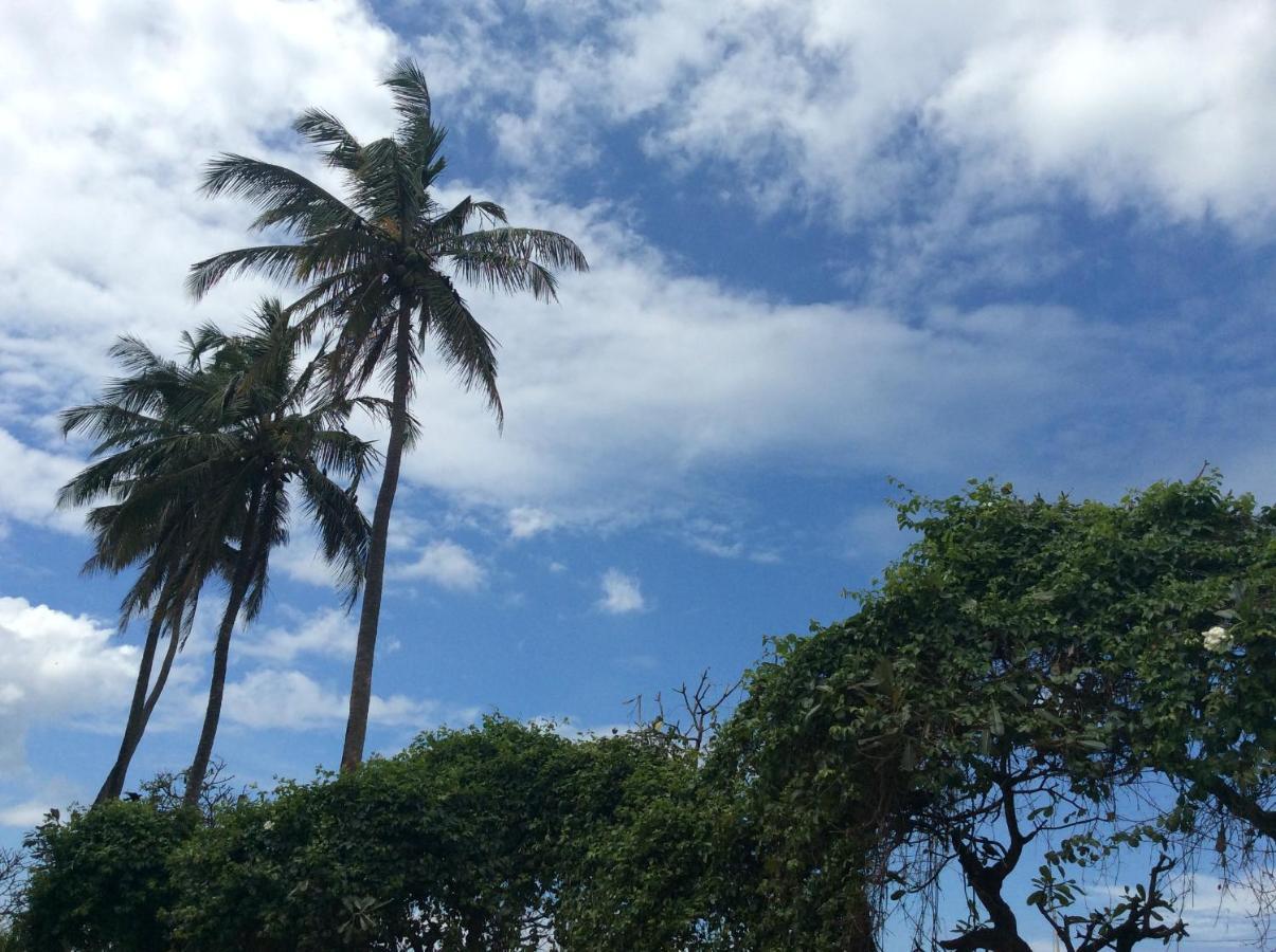 New Rest House Sea View Hotel Negombo Exterior photo